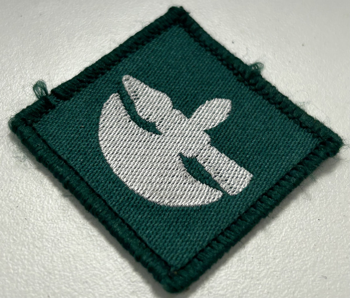 Image #2