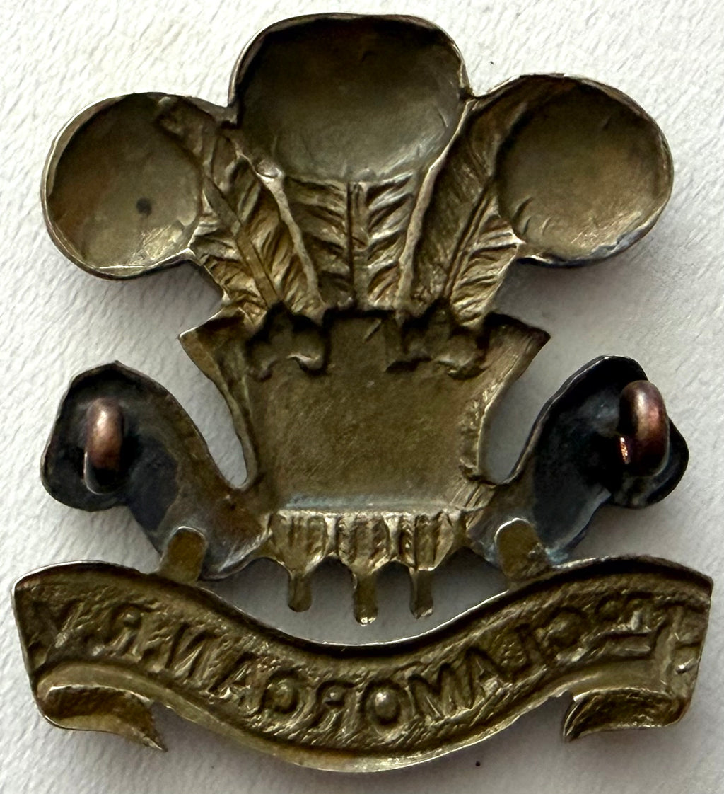 Victorian Era 3rd Glamorgan Rifle Volunteers Cap Badge