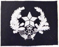 Cameroonians Regimental Blazer Tunic Badge Patch